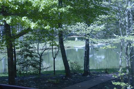view from deck spring10